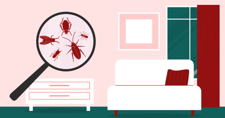 Infographic of magnifying glass finding house pests