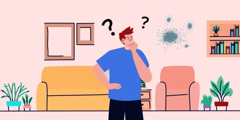 Infographic of someone looking at mold on their wall