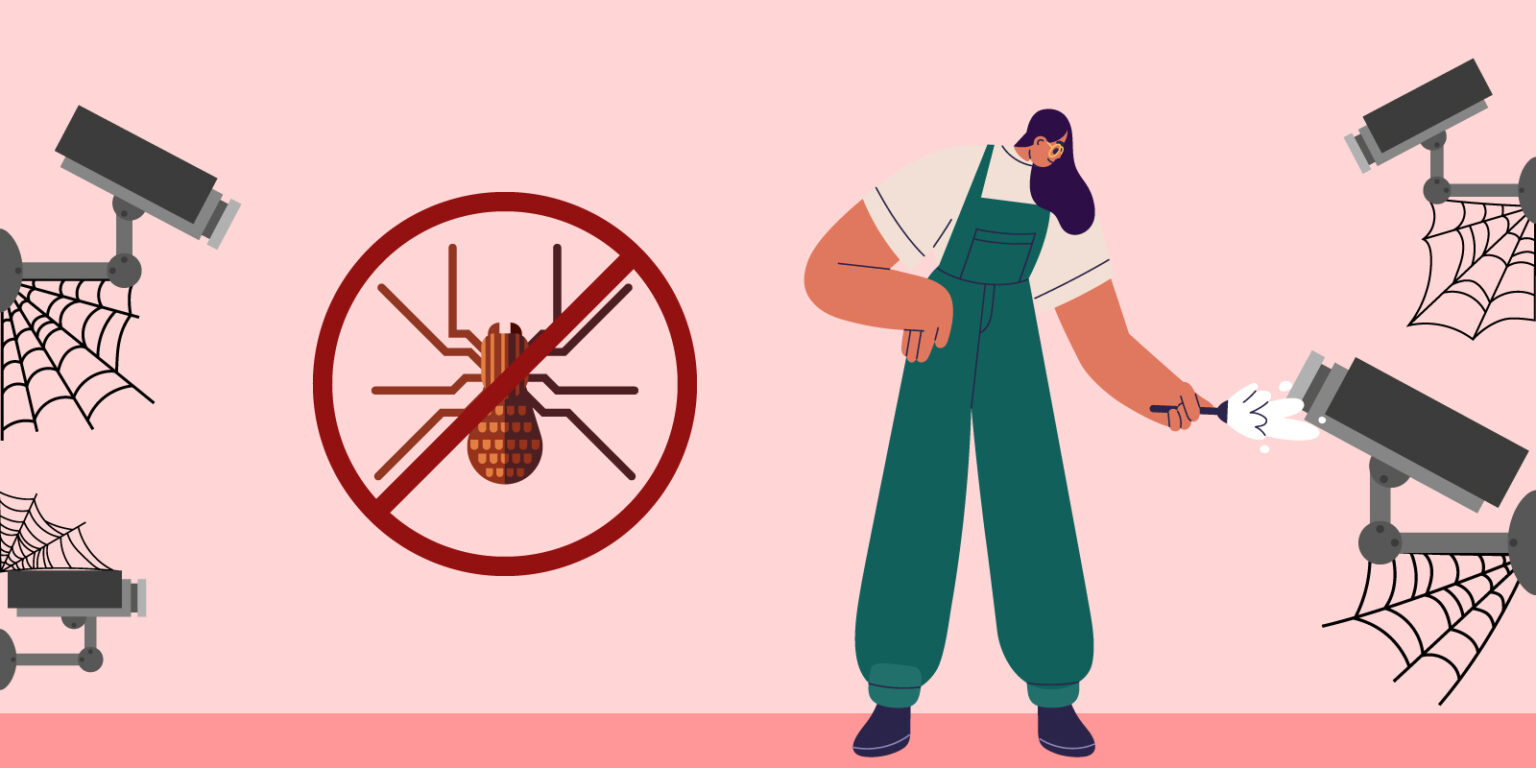 How to Get Rid of Spider s & Other Bugs on Security Cameras In 5